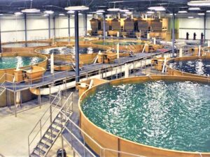 High Density Indoor Aquaculture System in Bangladesh