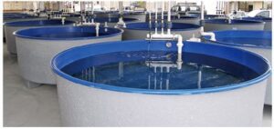 Indoor Aquaculture System