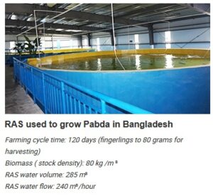 High Density Intensive Aquaculture System